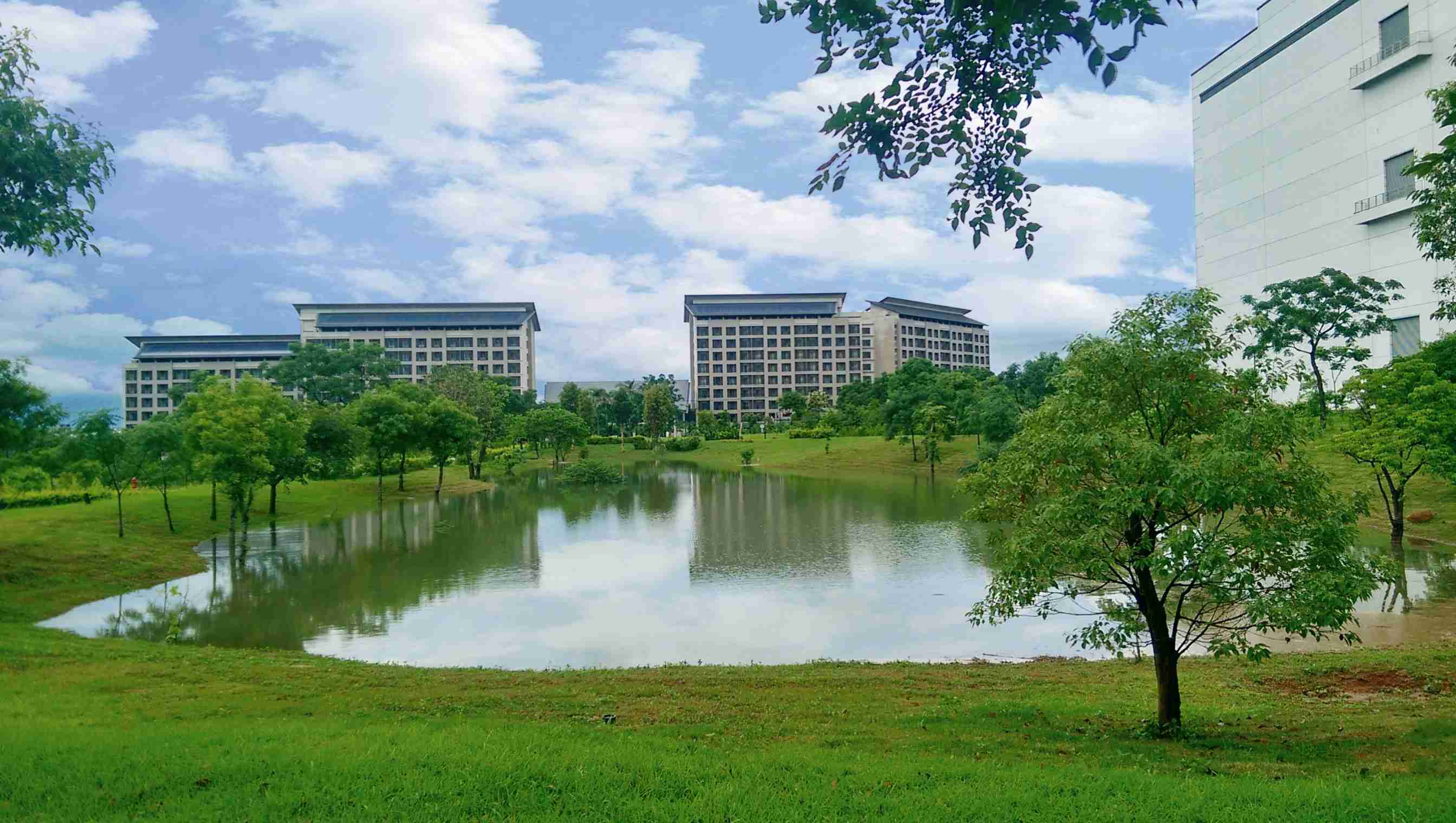 CG电子响应国际倡议生物多样性趋势，，首次发布TNFD自然相关财务揭露报告书，，，擘划及开展CG电子生物多样性政策之承诺，，，逐步迈向与自然和谐共生